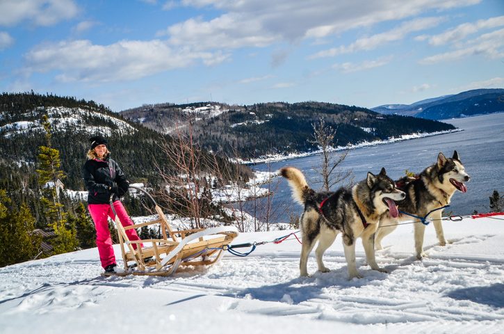 Excursion chien de traîneau Saguenay Tadoussac